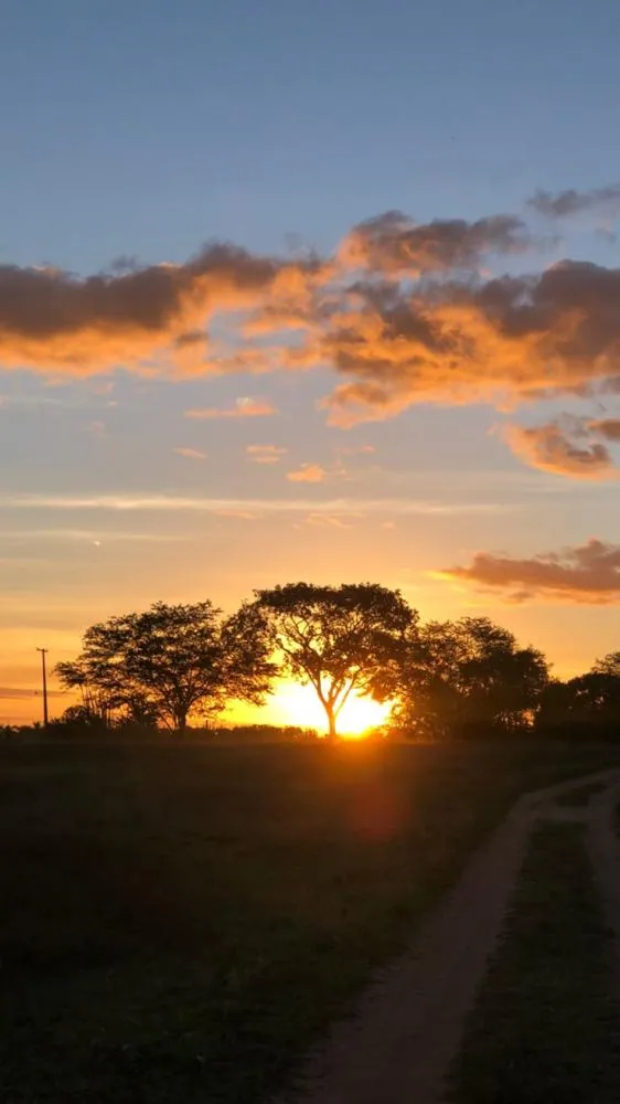 Frio perde força e temperaturas voltam a subir em Minas Gerais neste fim de semana